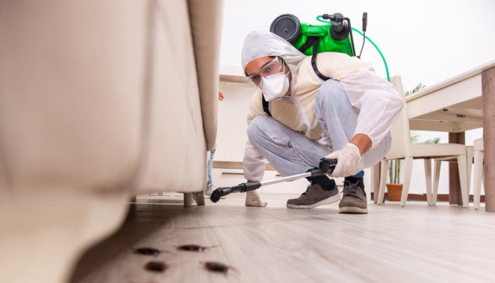 Pest Control Services