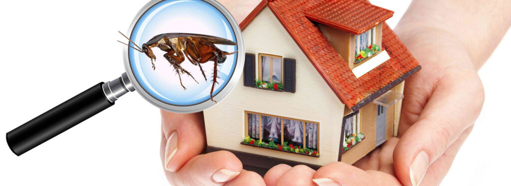 Pest control services companies